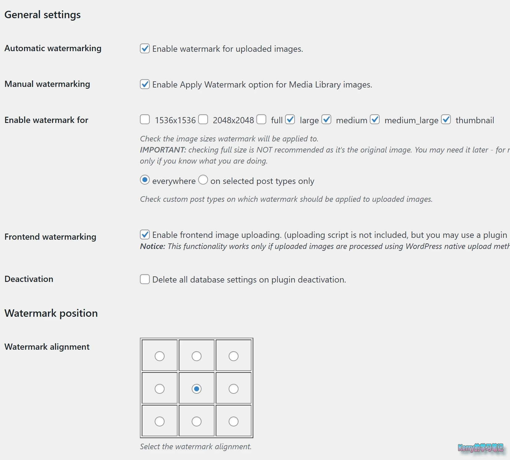 image watermark plugin