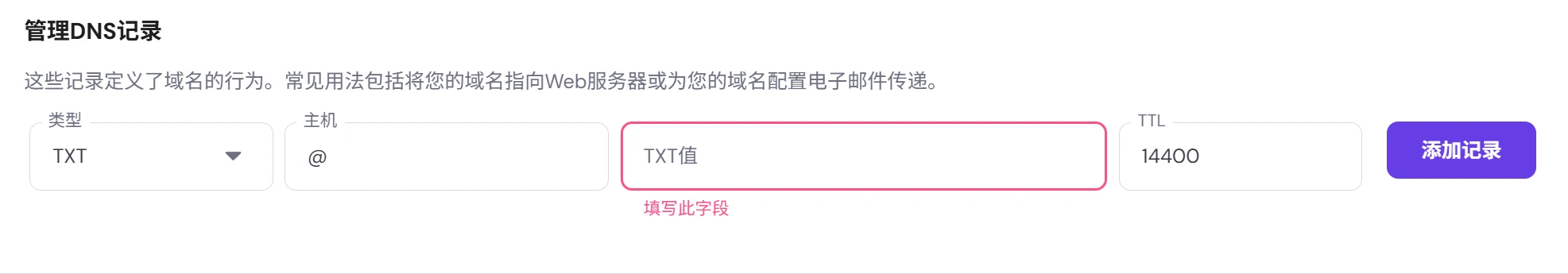 add txt record