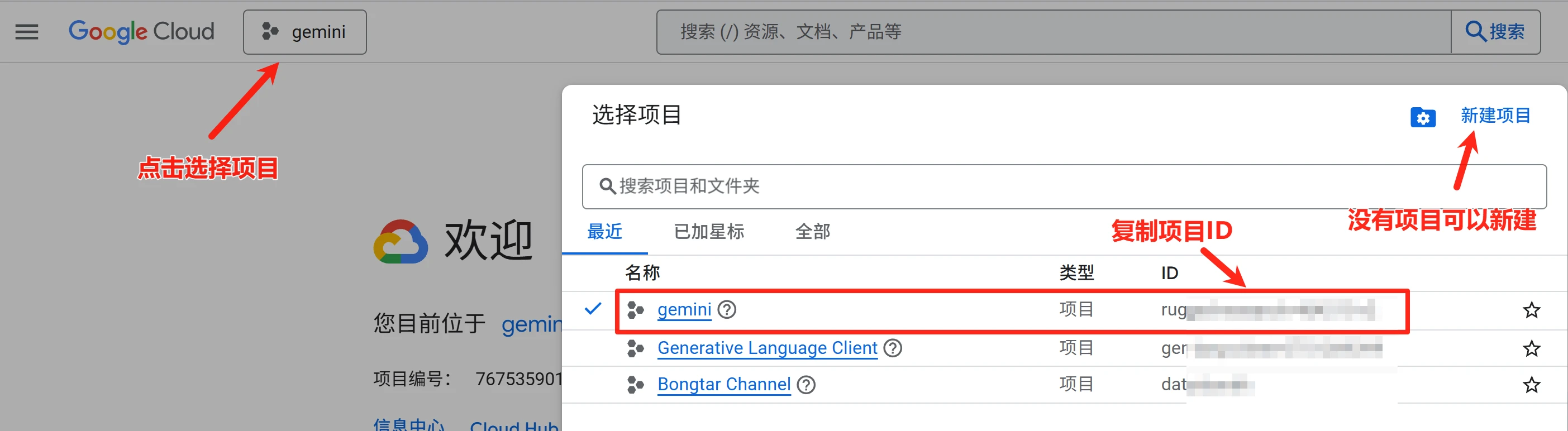 Gemini CLI 无法登录的解决办法 - 13 choose google cloud project