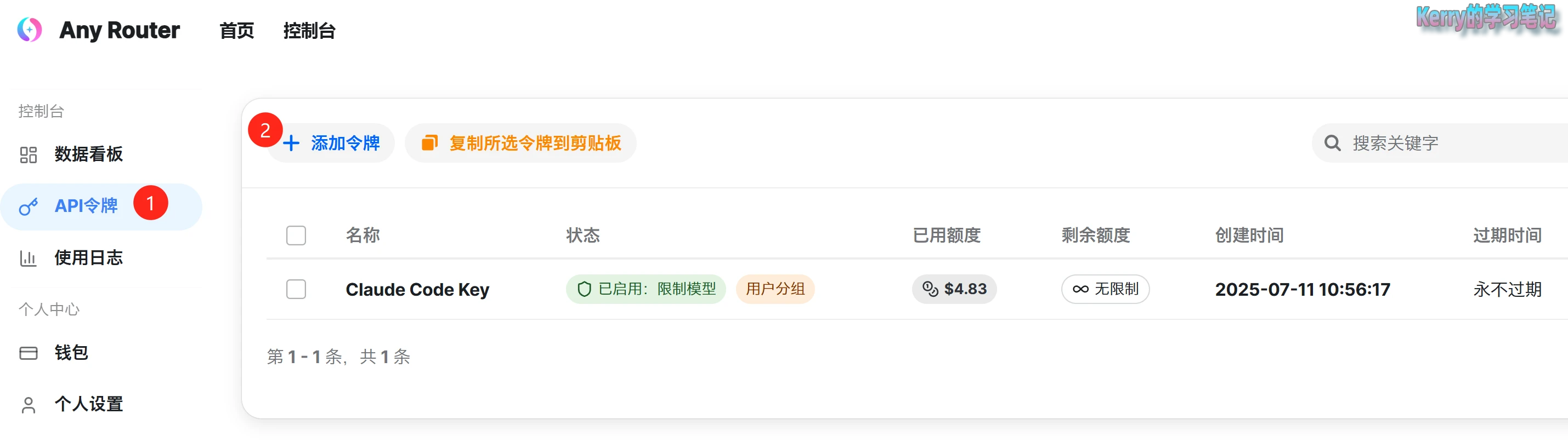 Claude Code 免费使用,亲测可用 - 12 add api key