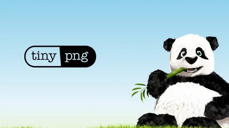TinyPNG 压缩 PNG 在 WordPress 的显示问题 - 16 tinypng